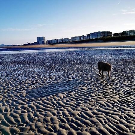 Hhvdk Aan Zee Apartment เอาสท์ดังแกร์เกอ ภายนอก รูปภาพ